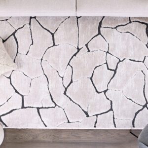 Abstract cracked-pattern rug on wooden floor.