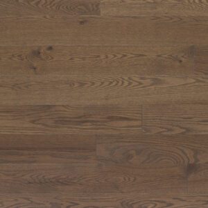 Signature Collection - Safari